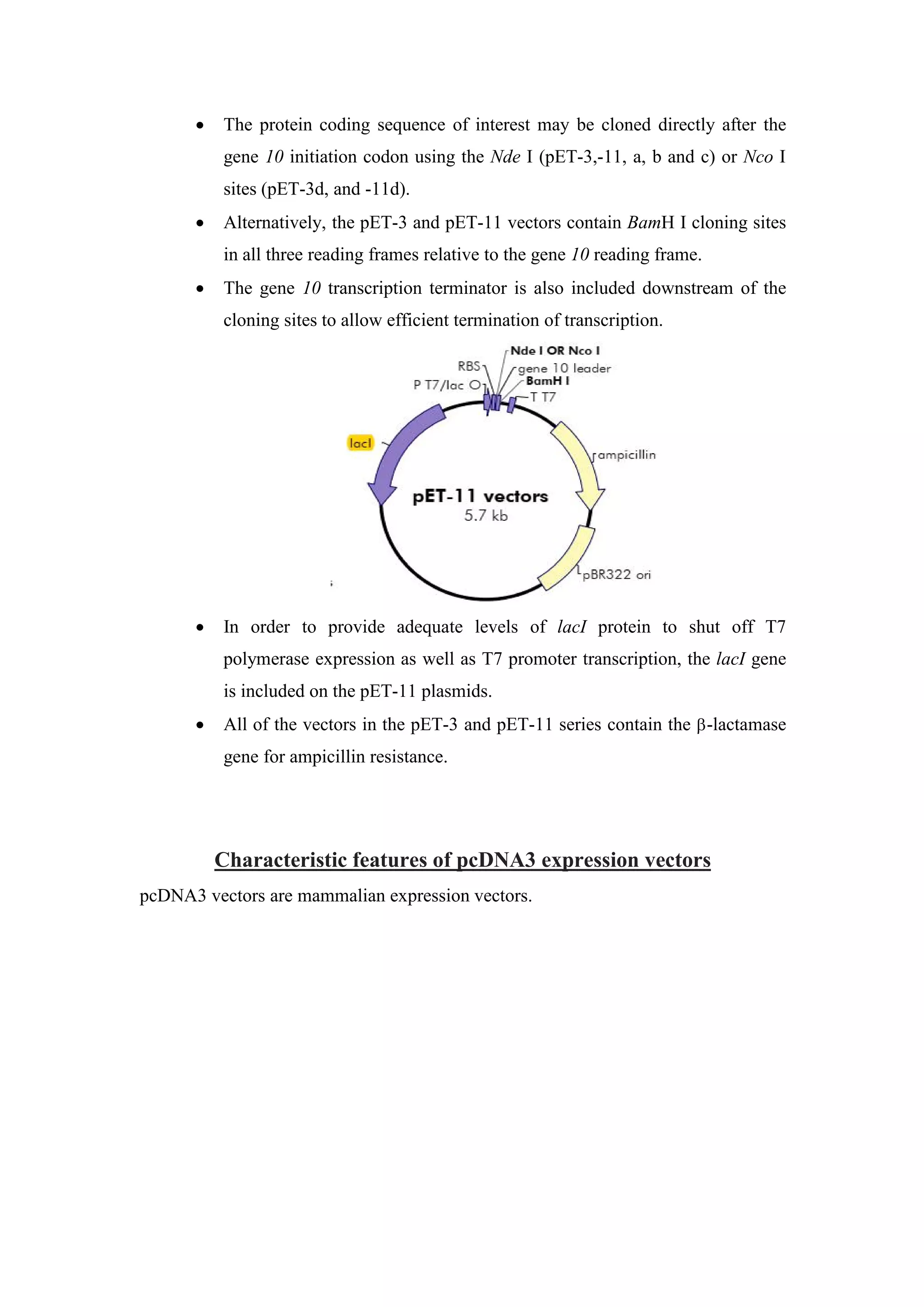 Critical components of p et,pcdna and cmv expression vectors | PDF
