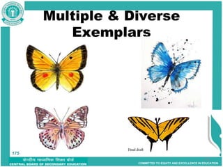 COMMITTED TO EQUITY AND EXCELLENCE IN EDUCATION
Multiple & Diverse
Exemplars
175
175
 