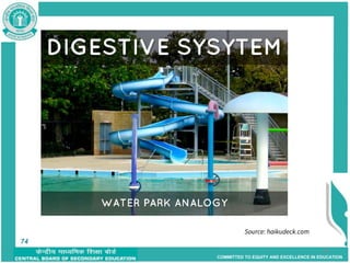 COMMITTED TO EQUITY AND EXCELLENCE IN EDUCATION
74
74
 