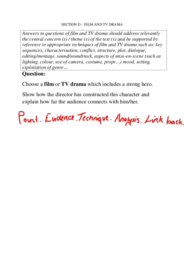 Critical essay questions