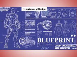 BLUEPRINT
Experimental Design
 