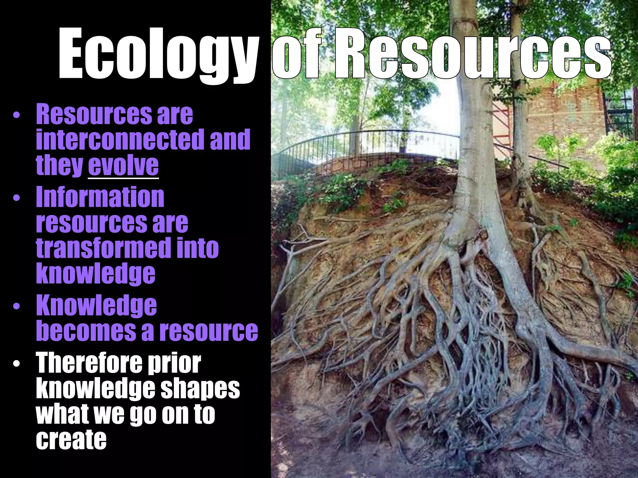 Ecology
• Resources are
  interconnected and
  they evolve
• Information
  resources are
  transformed into
  knowledge
• Knowledge
  becomes a resource
• Therefore prior
  knowledge shapes
  what we go on to
  create
 