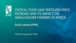 CRITICAL FOOD AND FERTILIZER PRICE
INCREASE AND ITS IMPACT ON
SMALLHOLDER FARMERS IN AFRICA
David Laborde (IFPRI)
d.labord...