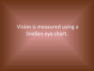 Vision is measured using a Snellen eye chart. 