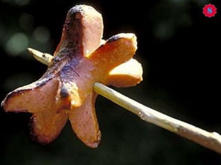 Roland Friedli | Critical Infrastructure | 4th Conference on Community Resiliency
 Cascading effects / interdependencies
 Ageing infrastructure
 Long lead times
 Running at limit of capacity
 Controversial issue: privatisation
2
What are the challenges?
 