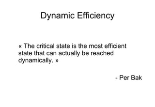 Dynamic Efficiency « The critical state is the most efficient state that can actually be reached dynamically. » - Per Bak 