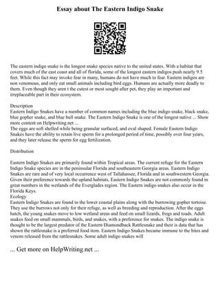 Essay about The Eastern Indigo Snake
The eastern indigo snake is the longest snake species native to the united states. With a habitat that
covers much of the east coast and all of florida, some of the longest eastern indigos push nearly 9.5
feet. While this fact may invoke fear in many, humans do not have much to fear. Eastern indigos are
non venomous, and only eat small animals including bird eggs. Humans are actually more deadly to
them. Even though they aren t the cutest or most sought after pet, they play an important and
irreplaceable part in their ecosystem.
Description
Eastern Indigo Snakes have a number of common names including the blue indigo snake, black snake,
blue gopher snake, and blue bull snake. The Eastern Indigo Snake is one of the longest native ... Show
more content on Helpwriting.net ...
The eggs are soft shelled while being granular surfaced, and oval shaped. Female Eastern Indigo
Snakes have the ability to retain live sperm for a prolonged period of time, possibly over four years,
and they later release the sperm for egg fertilization.
Distribution
Eastern Indigo Snakes are primarily found within Tropical areas. The current refuge for the Eastern
Indigo Snake species are in the peninsular Florida and southeastern Georgia areas. Eastern Indigo
Snakes are rare and of very local occurrence west of Tallahassee, Florida and in southwestern Georgia.
Given their preference towards the upland habitats, Eastern Indigo Snakes are not commonly found in
great numbers in the wetlands of the Everglades region. The Eastern indigo snakes also occur in the
Florida Keys.
Ecology
Eastern Indigo Snakes are found in the lower coastal plains along with the burrowing gopher tortoise.
They use the burrows not only for their refuge, as well as breeding and reproduction. After the eggs
hatch, the young snakes move to low wetland areas and feed on small lizards, frogs and toads. Adult
snakes feed on small mammals, birds, and snakes, with a preference for snakes. The indigo snake is
thought to be the largest predator of the Eastern Diamondback Rattlesnake and their is data that has
shown the rattlesnake is a preferred food item. Eastern Indigo Snakes became immune to the bites and
venom released from the rattlesnakes. Some adult indigo snakes will
... Get more on HelpWriting.net ...
 