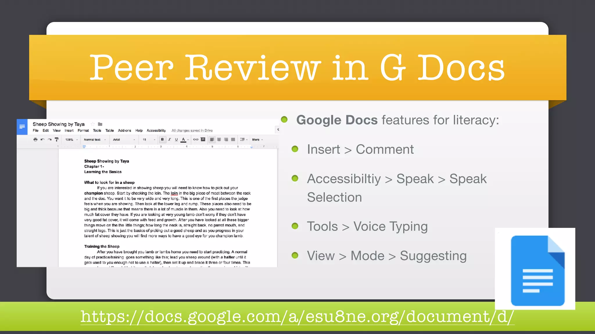 Peer Review in G Docs
Google Docs features for literacy:

Insert > Comment

Accessibiltiy > Speak > Speak
Selection

Tools > Voice Typing

View > Mode > Suggesting
https://docs.google.com/a/esu8ne.org/document/d/
 
