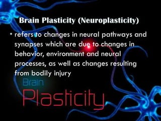 • refers to changes in neural pathways and
synapses which are due to changes in
behavior, environment and neural
processes, as well as changes resulting
from bodily injury
 