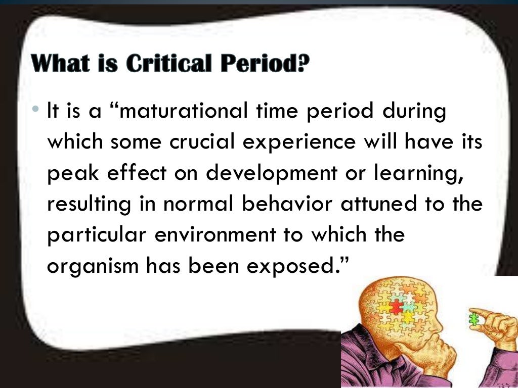 what is the critical hypothesis period