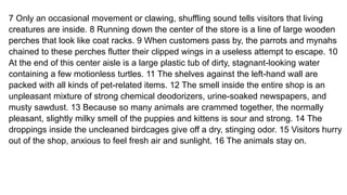 7 Only an occasional movement or clawing, shuffling sound tells visitors that living
creatures are inside. 8 Running down the center of the store is a line of large wooden
perches that look like coat racks. 9 When customers pass by, the parrots and mynahs
chained to these perches flutter their clipped wings in a useless attempt to escape. 10
At the end of this center aisle is a large plastic tub of dirty, stagnant-looking water
containing a few motionless turtles. 11 The shelves against the left-hand wall are
packed with all kinds of pet-related items. 12 The smell inside the entire shop is an
unpleasant mixture of strong chemical deodorizers, urine-soaked newspapers, and
musty sawdust. 13 Because so many animals are crammed together, the normally
pleasant, slightly milky smell of the puppies and kittens is sour and strong. 14 The
droppings inside the uncleaned birdcages give off a dry, stinging odor. 15 Visitors hurry
out of the shop, anxious to feel fresh air and sunlight. 16 The animals stay on.
 
