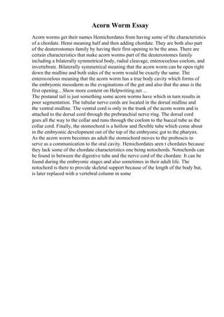 Acorn Worm Essay
Acorn worms get their names Hemichordates from having some of the characteristics
of a chordate. Hemi meaning half and then adding chordate. They are both also part
of the deuterostomes family by having their first opening to be the anus. There are
certain characteristics that make acorn worms part of the deuterostomes family
including a bilaterally symmetrical body, radial cleavage, enterocoelous coelom, and
invertebrate. Bilaterally symmetrical meaning that the acorn worm can be open right
down the midline and both sides of the worm would be exactly the same. The
enterocoelous meaning that the acorn worm has a true body cavity which forms of
the embryonic mesoderm as the evaginations of the gut and also that the anus is the
first opening... Show more content on Helpwriting.net ...
The postanal tail is just something some acorn worms have which in turn results in
poor segmentation. The tubular nerve cords are located in the dorsal midline and
the ventral midline. The ventral cord is only in the trunk of the acorn worm and is
attached to the dorsal cord through the prebranchial nerve ring. The dorsal cord
goes all the way to the collar and runs through the coelom to the buccal tube as the
collar cord. Finally, the stomochord is a hollow and flexible tube which come about
in the embryonic development out of the top of the embryonic gut to the pharynx.
As the acorn worm becomes an adult the stomochord moves to the proboscis to
serve as a communication to the oral cavity. Hemichordates aren t chordates because
they lack some of the chordate characteristics one being notochords. Notochords can
be found in between the digestive tube and the nerve cord of the chordate. It can be
found during the embryonic stages and also sometimes in their adult life. The
notochord is there to provide skeletal support because of the length of the body but,
is later replaced with a vertebral column in some
 