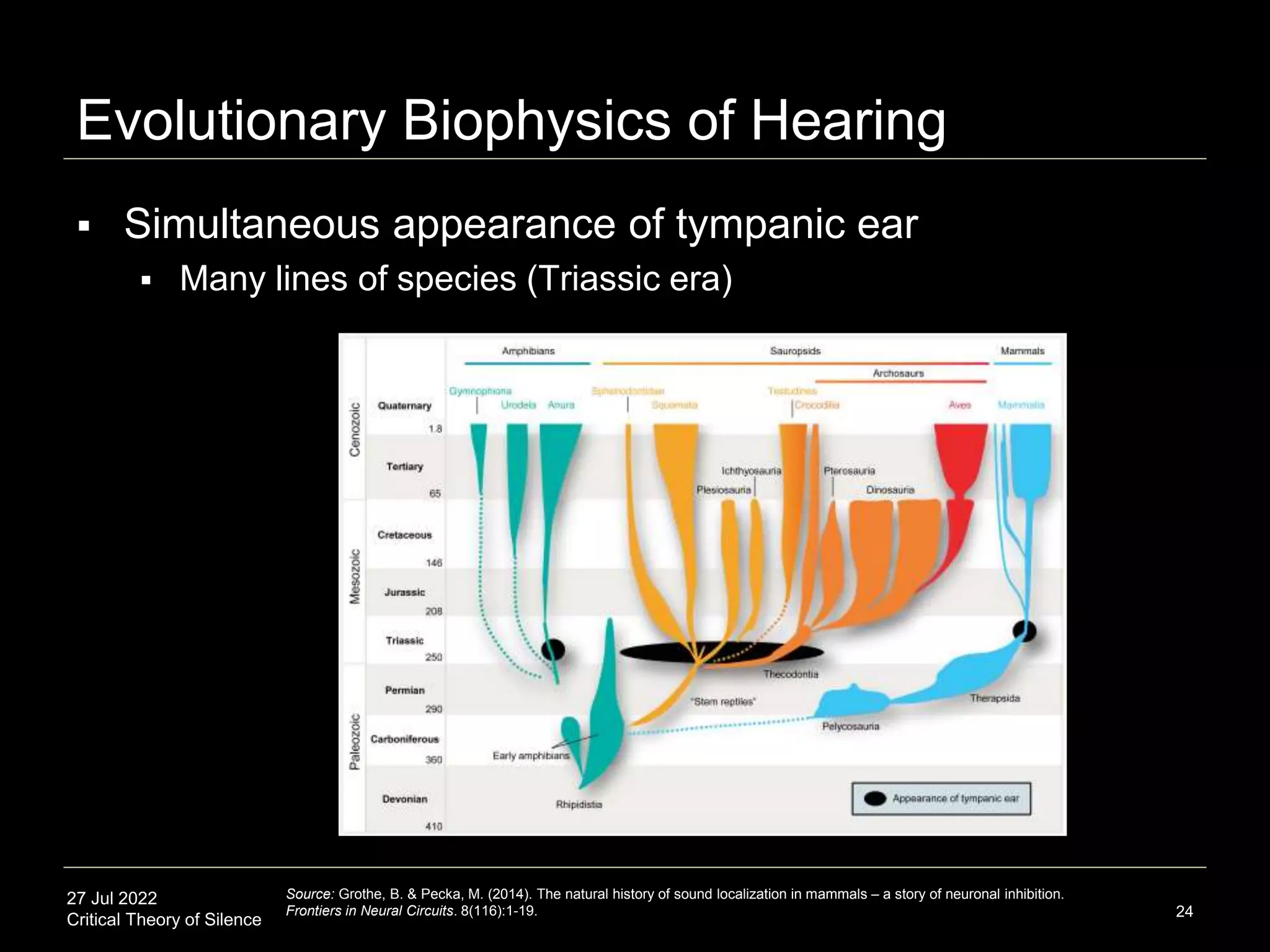 27 Jul 2022
Critical Theory of Silence
Evolutionary Biophysics of Hearing
24
 Simultaneous appearance of tympanic ear
 Many lines of species (Triassic era)
Source: Grothe, B. & Pecka, M. (2014). The natural history of sound localization in mammals – a story of neuronal inhibition.
Frontiers in Neural Circuits. 8(116):1-19.
 