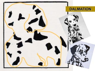 DALMATION
 