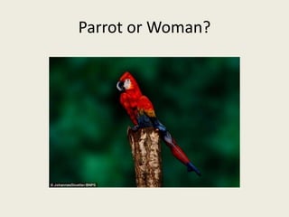 Parrot or Woman?
 