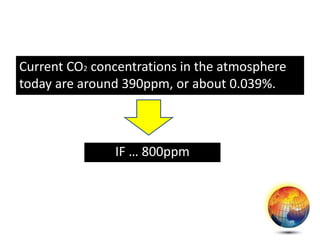 Current CO2 concentrations in the atmosphere
today are around 390ppm, or about 0.039%.
IF … 800ppm
 