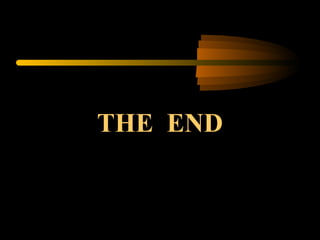 THE  END 