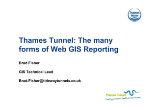 Thames Tunnel: The many
forms of Web GIS Reporting
Brad Fisher

GIS Technical Lead

Brad.Fisher@tidewaytunnels.co.uk
 