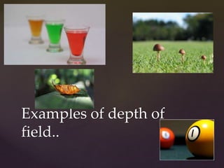 Examples of depth of 
field.. 
 