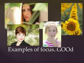 Examples of focus..GOOd 
 