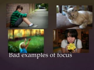 Bad examples of focus 
 