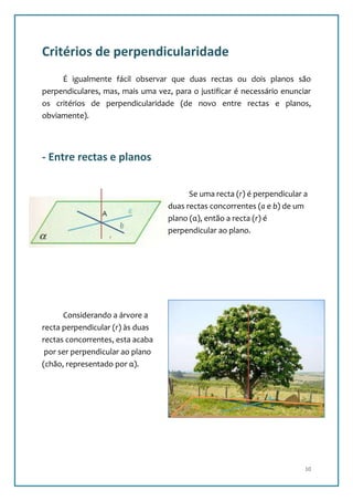 Critérios de perpendicularidade
     É igualmente fácil observar que duas rectas ou dois planos são
perpendiculares, mas, mais uma vez, para o justificar é necessário enunciar
os critérios de perpendicularidade (de novo entre rectas e planos,
obviamente).




- Entre rectas e planos


                                         Se uma recta (r) é perpendicular a
                                   duas rectas concorrentes (a e b) de um
                                   plano (α), então a recta (r) é
                                   perpendicular ao plano.
                  r
                  a




                                                           r
      Considerando a árvore a
                                                           a
recta perpendicular (r) às duas
rectas concorrentes, esta acaba
 por ser perpendicular ao plano
(chão, representado por α).


                                                               a
                                          α                     b




                                                                          10
 