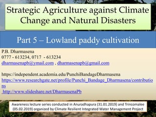 Strategic Agriculture against Climate
Change and Natural Disasters
Part 5 – Lowland paddy cultivation
P.B. Dharmasena
0777 - 613234, 0717 - 613234
dharmasenapb@ymail.com , dharmasenapb@gmail.com
https://independent.academia.edu/PunchiBandageDharmasena
https://www.researchgate.net/profile/Punchi_Bandage_Dharmasena/contributio
ns
http://www.slideshare.net/DharmasenaPb
Awareness lecture series conducted in Anuradhapura (31.01.2019) and Trincomalee
(05.02.2019) organized by Climate Resilient Integrated Water Management Project
 