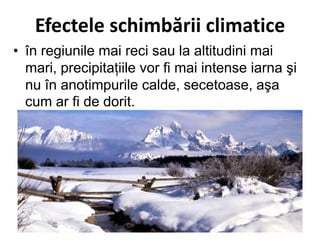 Efectele schimbării climatice
• în regiunile mai reci sau la altitudini mai
mari, precipitaţiile vor fi mai intense iarna şi
nu în anotimpurile calde, secetoase, aşa
cum ar fi de dorit.
 
