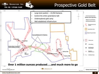 10
Prospective Gold Belt
Seabee Property:
17,200 Hectares
• Large land position – 19,950 Hectares
• Control the entire greenstone belt
• Underexplored gold camp
• Well established infrastructure
Over 1 million ounces produced…..and much more to go
 