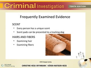Frequently Examined Evidence 
SCENT 
• Every person has a unique scent 
• Scent pads can be presented to a tracking dog 
HAIRS AND FIBERS 
• Examining hair 
• Examining fibers 
 