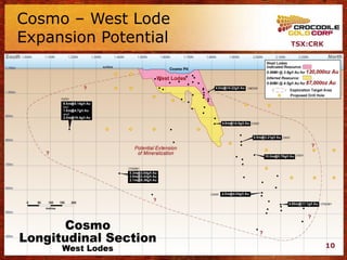 Cosmo – West Lode
Expansion Potential   TSX:CRK




                                10
 