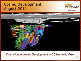Cosmo Development
August 2011                                 TSX:CRK




Cosmo Underground Development — 3D Isometric View
                                                    12
 