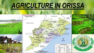 AGRICULTURE IN ORISSA
 