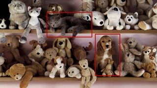 Алгоритм внедрения
 