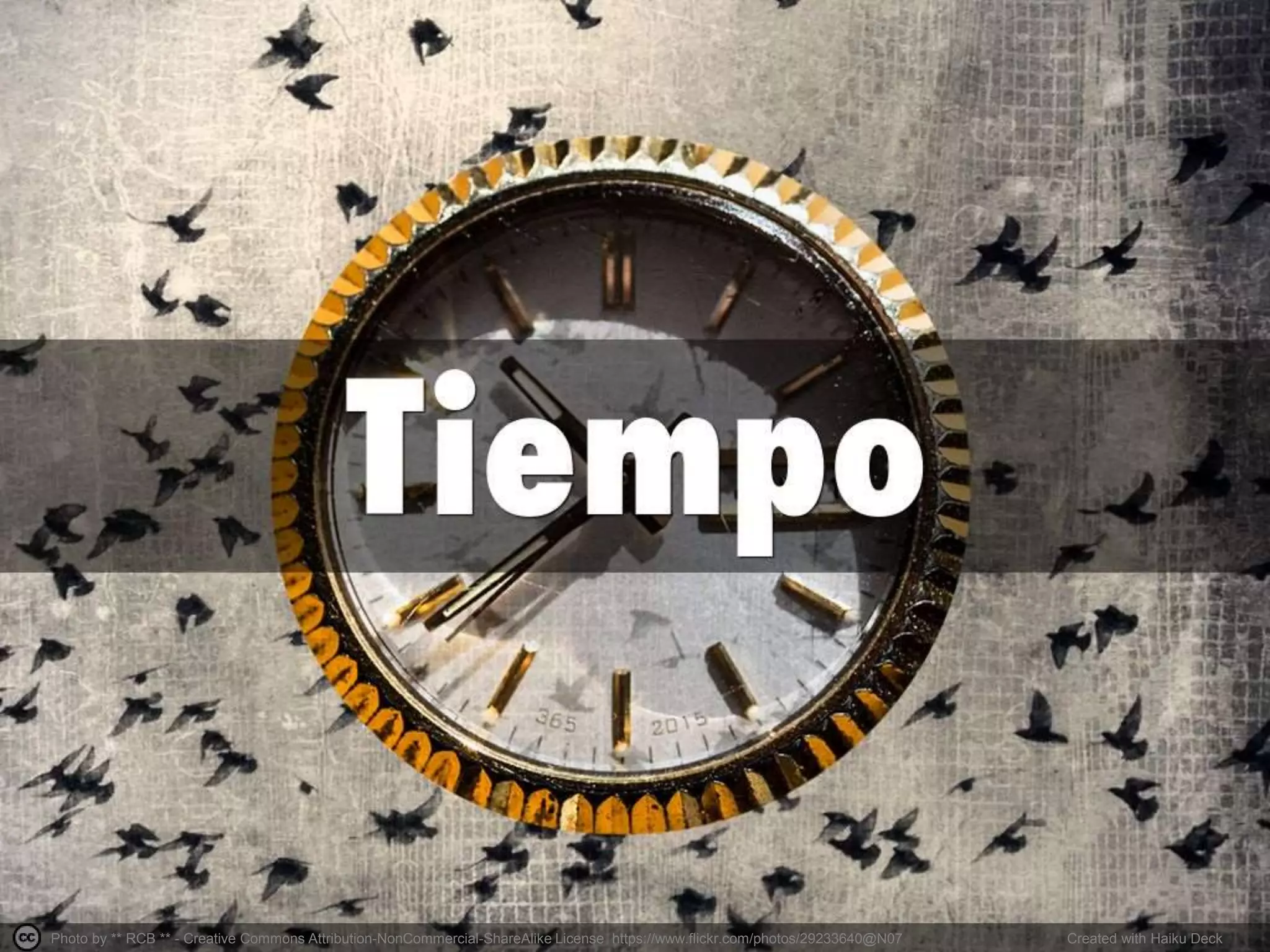 Photo by ** RCB ** - Creative Commons Attribution-NonCommercial-ShareAlike License https://www.flickr.com/photos/29233640@N07 Created with Haiku Deck
 