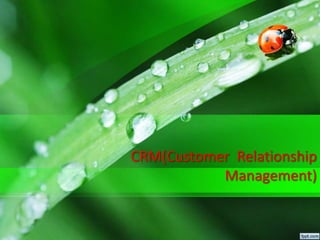 CRM(Customer Relationship
Management)
 