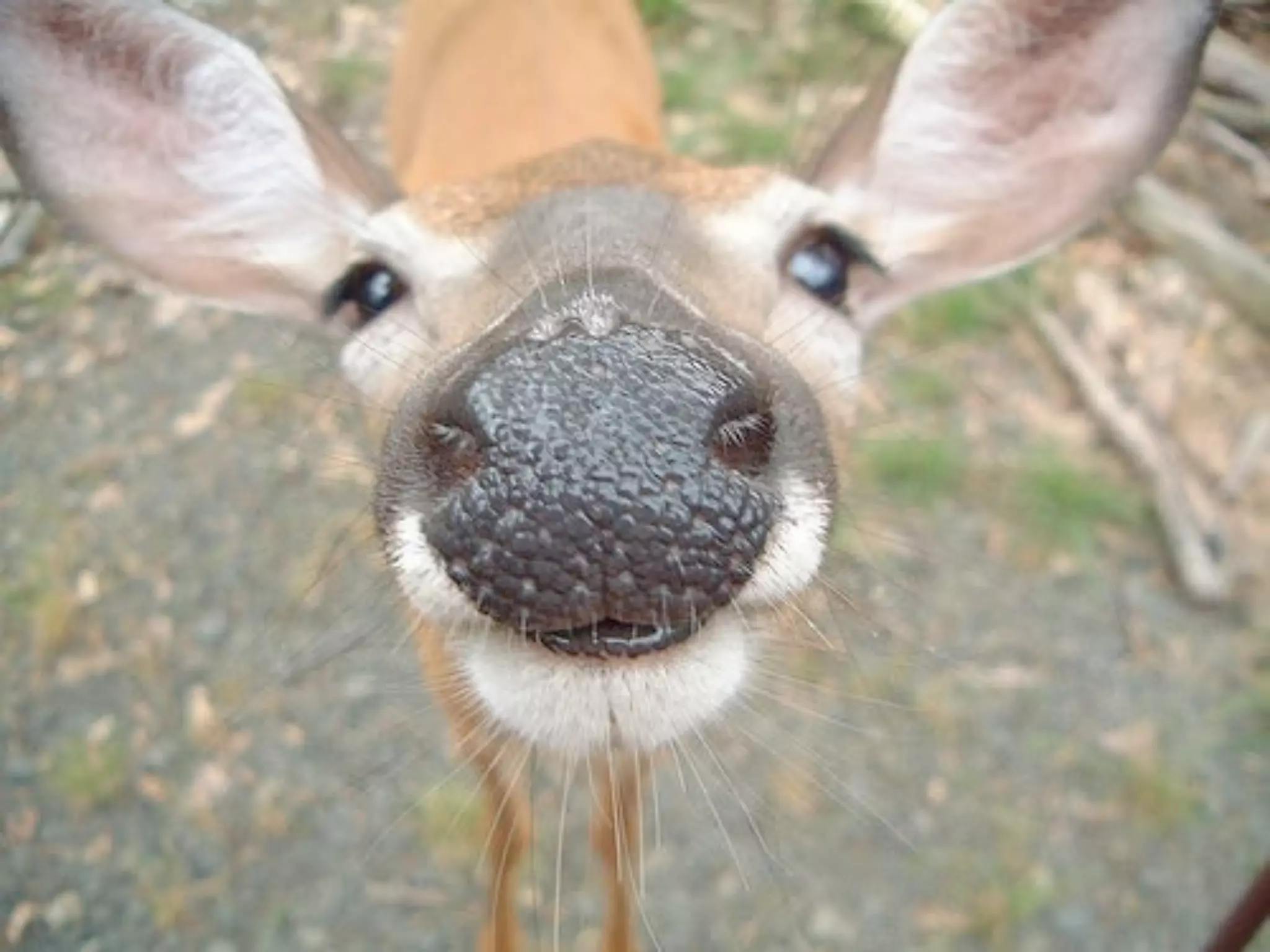 Crm and-communication.key