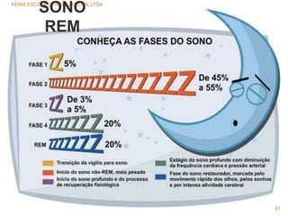 FENIX ESCOLA DE AVIAÇÃO CIVIL LTDA
31
SONO
REM
 