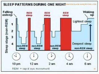 FENIX ESCOLA DE AVIAÇÃO CIVIL LTDA
34
 