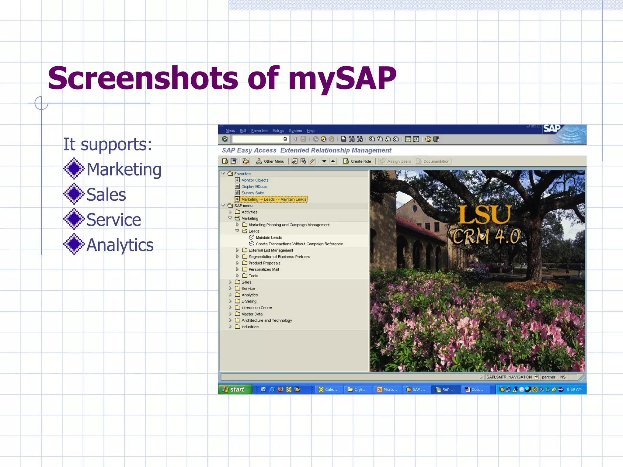 Screenshots of mySAP It supports: Marketing Sales Service Analytics 