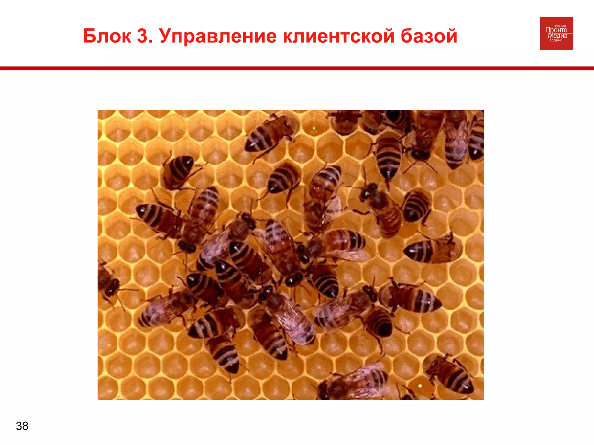 Блок 3. Управление клиентской базой 