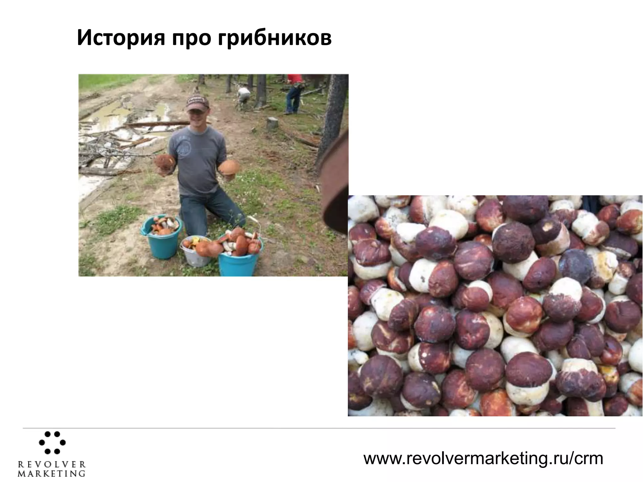 История про грибников

www.revolvermarketing.ru/crm

 