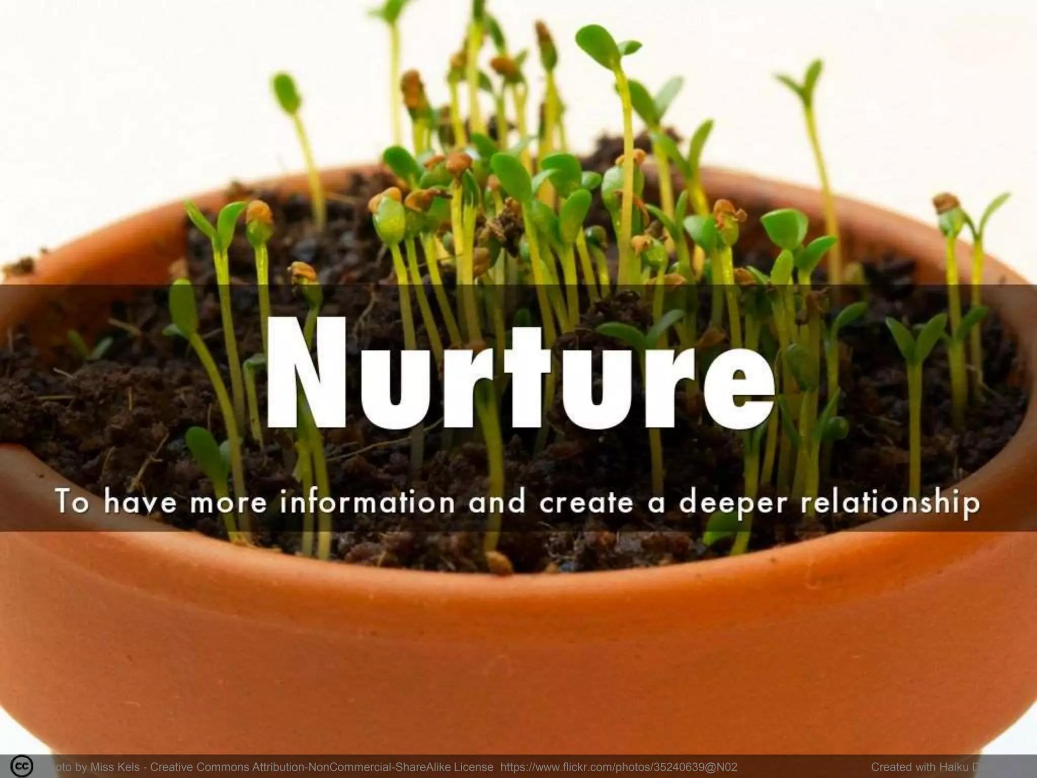 Photo by Miss Kels - Creative Commons Attribution-NonCommercial-ShareAlike License https://www.flickr.com/photos/35240639@N02 Created with Haiku Deck
 