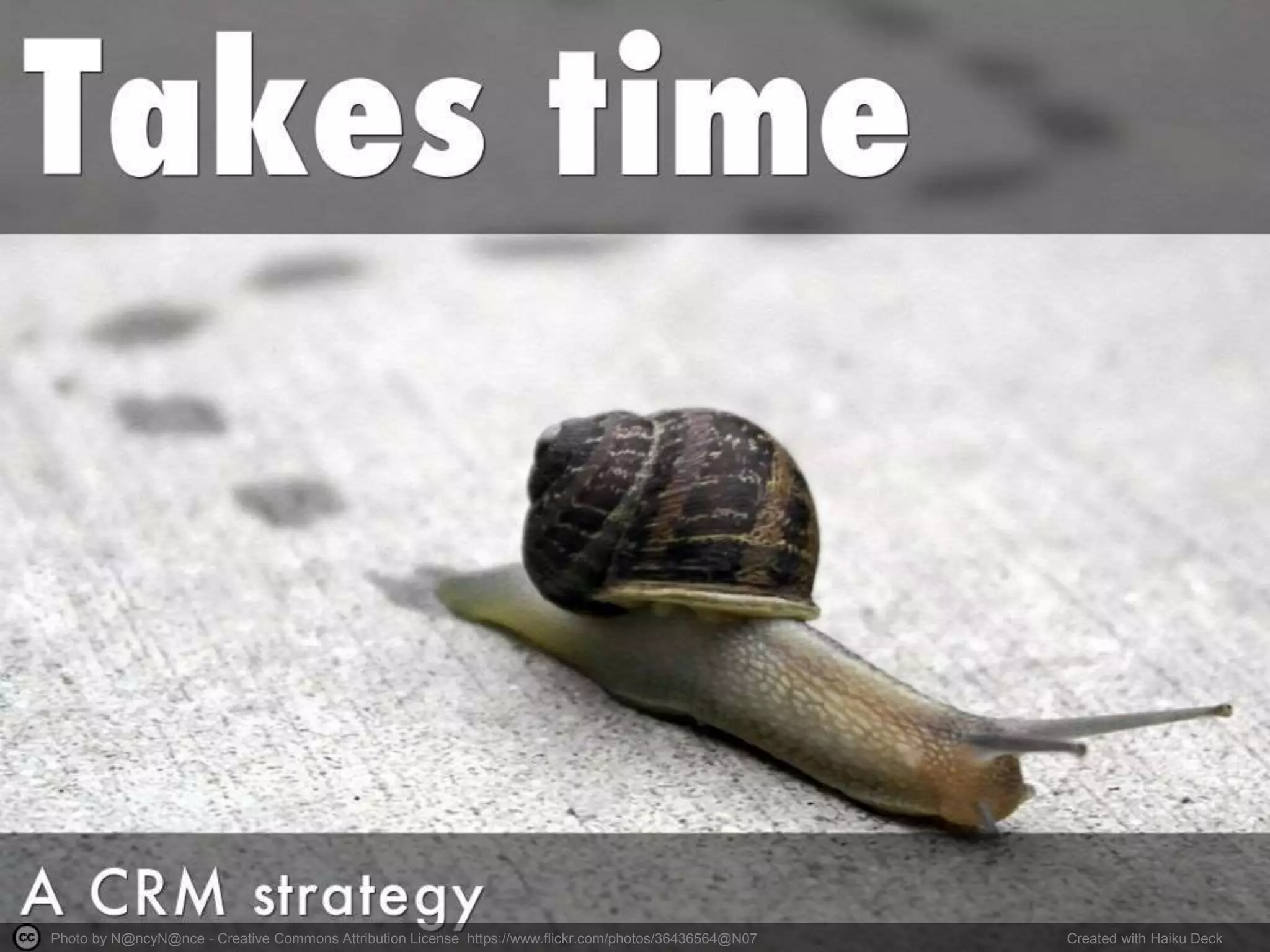 Photo by N@ncyN@nce - Creative Commons Attribution License https://www.flickr.com/photos/36436564@N07 Created with Haiku Deck
 