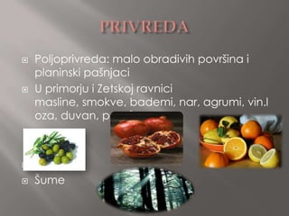    Poljoprivreda: malo obradivih površina i
    planinski pašnjaci
   U primorju i Zetskoj ravnici
    masline, smokve, bademi, nar, agrumi, vin.l
    oza, duvan, povrće





   Šume
 