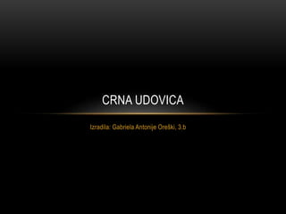 CRNA UDOVICA 
Izradila: Gabriela Antonije Oreški, 3.b 
 