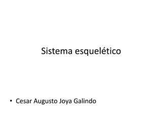 Sistema esquelético



• Cesar Augusto Joya Galindo
 