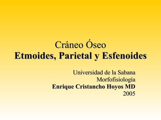Cráneo Óseo Etmoides, Parietal y Esfenoides Universidad de la Sabana Morfofisiología Enrique Cristancho Hoyos MD 2005 