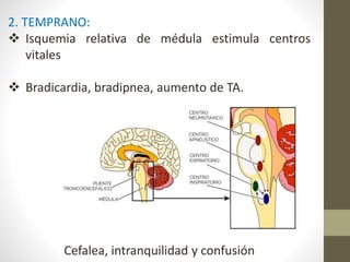 2. TEMPRANO:
 Isquemia relativa de médula estimula centros
vitales
 Bradicardia, bradipnea, aumento de TA.
Cefalea, intranquilidad y confusión
 