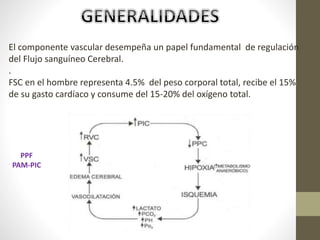 El componente vascular desempeña un papel fundamental de regulación
del Flujo sanguíneo Cerebral.
.
FSC en el hombre representa 4.5% del peso corporal total, recibe el 15%
de su gasto cardíaco y consume del 15-20% del oxígeno total.
PPF
PAM-PIC
 